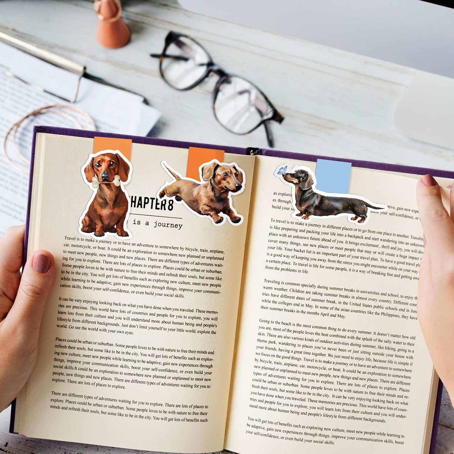 6/12 Darcy Köpek Temalı Su Geç - Bookmark Magnetic Clip incelemesi ve fiyatı